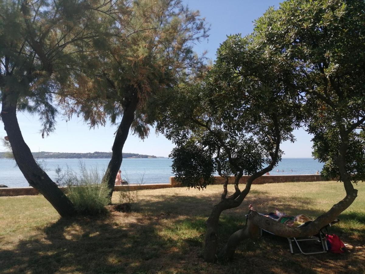 Vera, 80 M From The Sea