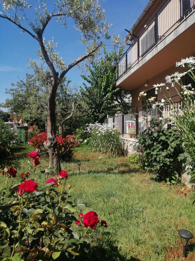 Vera, 80 M From The Sea * Novigrad (Istria)